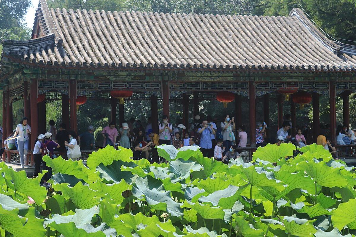 【王府秘境与后海夜风】什刹海慢调夜游：从恭王府园林走到微醺水岸