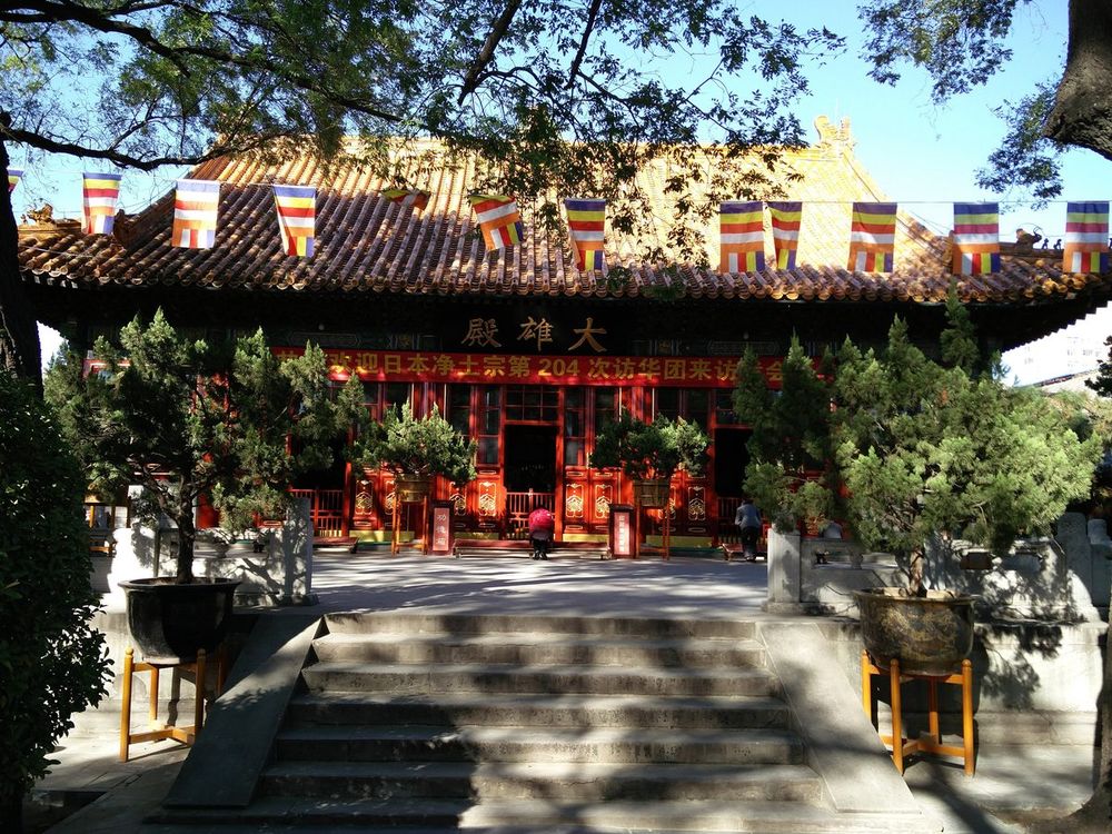 【白塔红墙 · 阜景文脉】西四古刹到妙应白塔:京城最富诗意的屋脊漫步